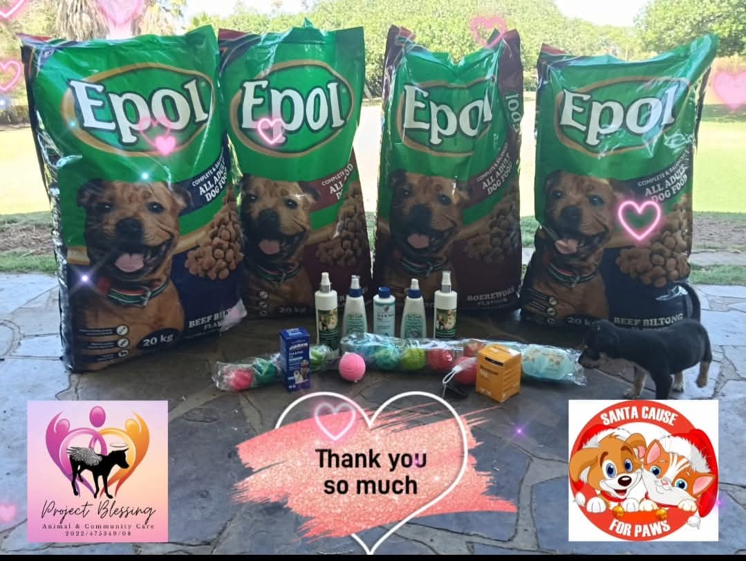 Project Blessing-Animal & Community Care